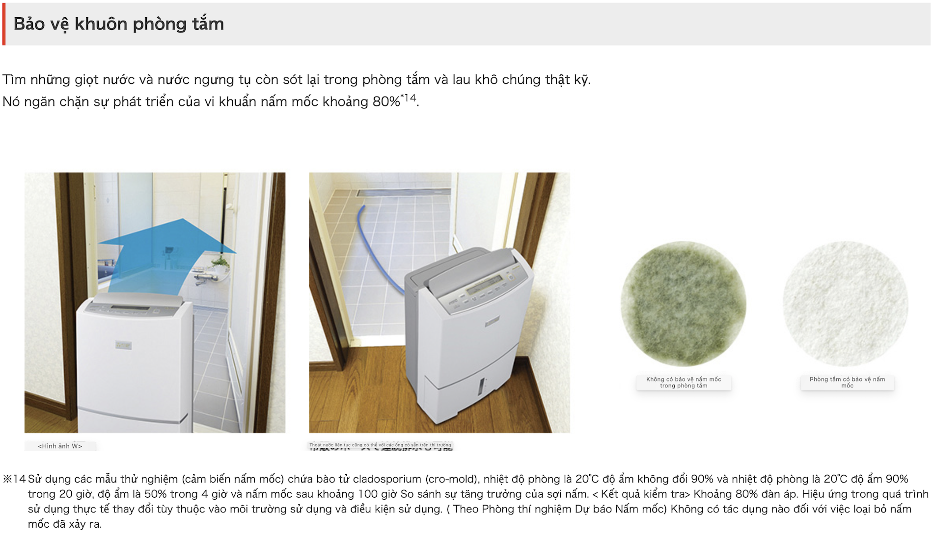 H&igrave;nh ảnh thực tế m&aacute;y h&uacute;t ẩm VIP MITSUBISHI MJ-PV250YX-W tại japanshop.THT