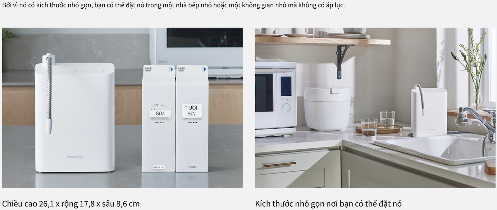 Máy lọc nước điện giải ion kiềm hóa Panasonic TK-AS31