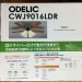 QUẠT TRẦN KÈM ĐÈN LED ODELIC CWJ9016LDR