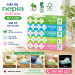 Giấy Ăn Nepia Nội Địa Nhật Bản Set 5 Hộp 300 Tờ