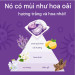 Viên Giặt Gel Bold 4D Nhật Bản – Giặt Sạch, Thơm Lâu, Khử Mùi Hiệu Quả