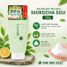 Sữa rửa mặt trà xanh Nhật Bản Rohto Shirochasou Green Tea Foam
